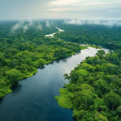 Bilde for arrangement Songs from the Amazon Rainforest