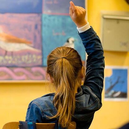 Bilde for arrangement Steinerskolen i Oslo 100 år