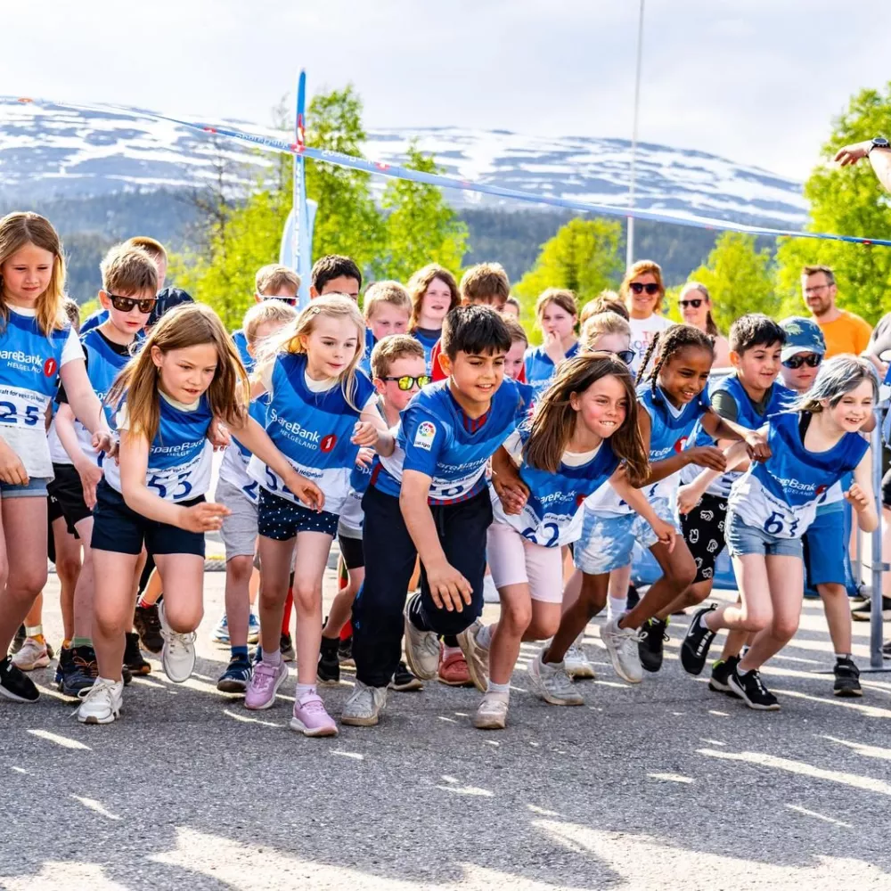 Illustrasjonsbilde av siden